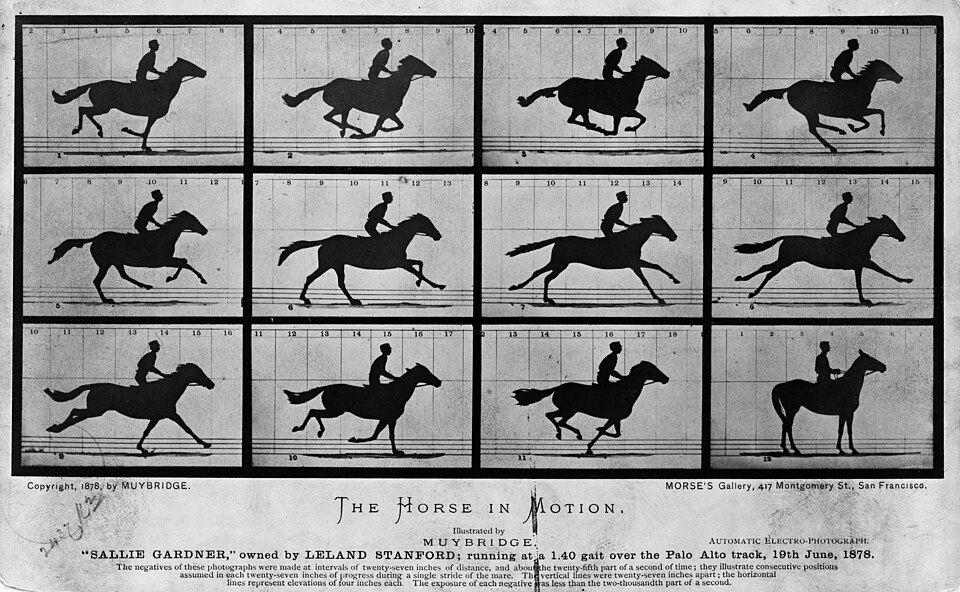 A printed card of twelve photographs in three rows, eleven showing the silhouette of a galloping horse and rider at successive points of its stride against a wall marked with vertical lines, and the last showing the horse standing still